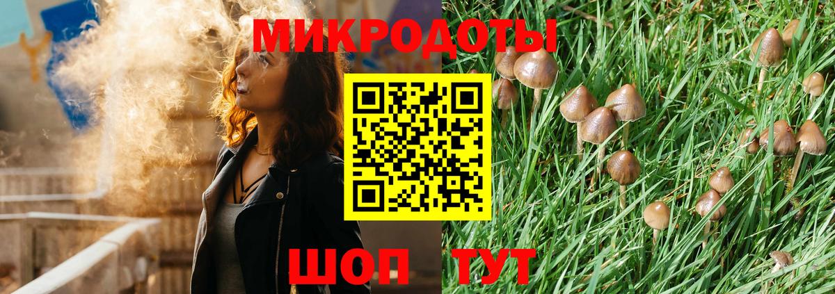 Галлюциногенные грибы мицелий  Галлюциногенные грибы Magic Shrooms  Вход с VPN  Волгоград 
